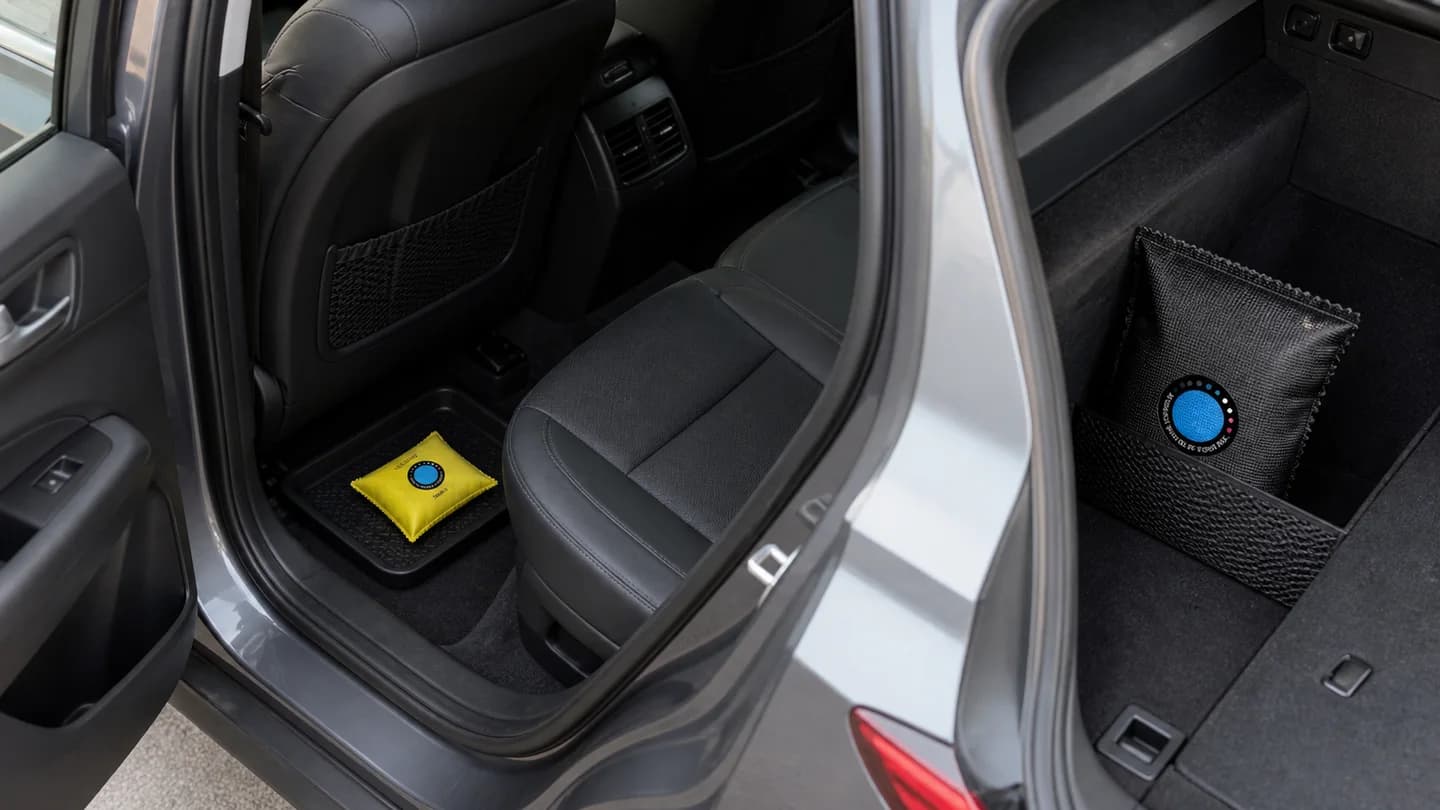 Zone sicure e sconsigliate per un sacchetto deumidificatore in auto